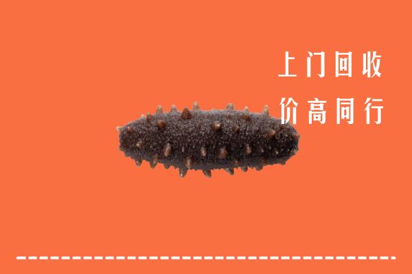 三元区高价回收海参
