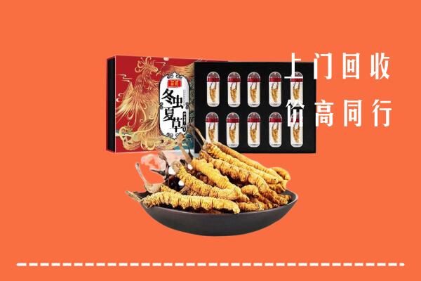 三元区回收虫草